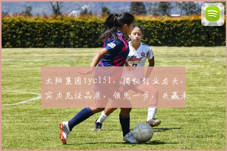 太阳集团tyc151，揭秘行业龙头，实力见证品质，领先一步，共赢未来